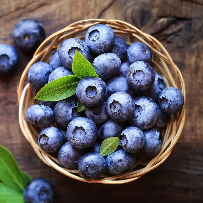 Blueberry Custard Decaffeinated Flavored Coffee