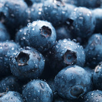 Buy blueberry flavored coffee online as premium ground and whole beans.  Delicious blueberry flavors with sweet french vanilla that makes this the best blueberry coffee available.